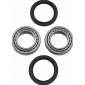 Ρουλεμάν πίσω τροχού MOOSE RACING BEARING WHEEL KIT REAR CANAM DS thumb